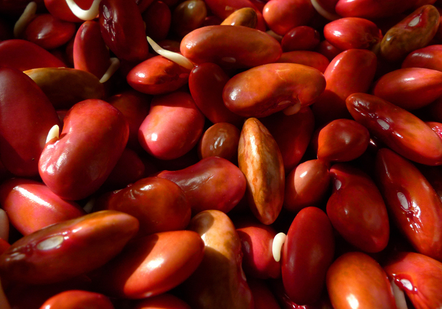 klíčící červené fazole